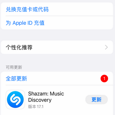 东阁镇东阁镇苹果维修分享无法在iPhone上下载或更新应用办法