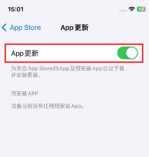 东阁镇苹果15维修中心如何让iPhone15APP自动更新