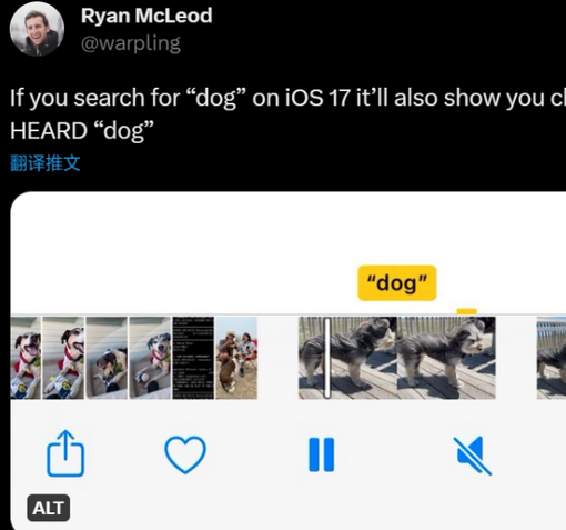 东阁镇apple维修店分享通过关键字搜索iPhone视频内声音 
