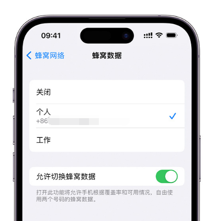 东阁镇苹果维修服务分享如何在iPhone上使用双卡 