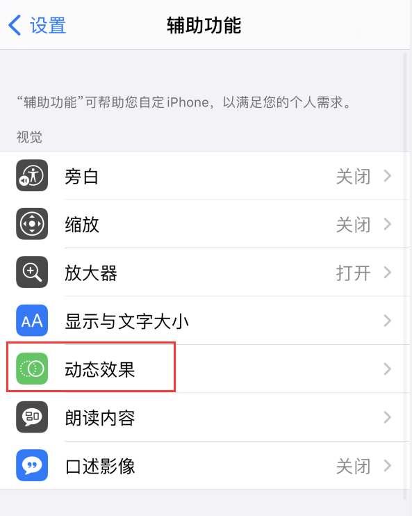 东阁镇苹果手机维修分享iPhone 12 退出应用时没有动画显示，如何设置 